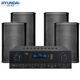 Hyundai Moderner BK8 Professioneller kleiner und mittlerer Konferenzraum Audio-Set Wall-montierter Lautsprecher Bluetooth-Verstärker Wireless Mikrofonkombination Unterricht Trainingspeicher Audiosystemausrüstung [vier Audio/No Microfon] Audio-Set (100-200 Quadratmeter) (100-200 Quadratmeter)