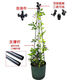 Clematis cuatro torre de esquina Torre de flores Tipo soporte MARCO DE LA Balcón al aire libre Balcón de jardinería Moldista de jazmín soporte de flores LZB de solo 75 cm de altura