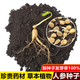Changbai Mountain ginseng seeds, wild ginseng seeds, easy to grow Chinese medicinal materials in all seasons, easy to live indoor flower pots, ginseng seeds, shipped without buds, 1 bag of selection, about 52 capsules