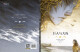 
Giant and the sea 97875596**716