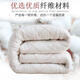 棉被垫被床垫棉被子冬天加厚学生宿舍棉花被芯春秋被褥棉胎被 2米* 2.2米 10 斤