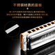 SEYDEL德国进口SEYDEL赛德 十孔10蓝调成人口琴 1847 CLASSIC 10孔LE调