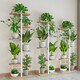 WORM Home Flower Rack Sakagi Einfache Mode mehrschichtige Blumenregal Innenbalkon Dekoration Rack Schmelztes Wohnzimmer Blumenregal Sukkulente Blumenregal [Blumenregal H719] Schwarze Garnierstruktur Klammer + schwarze Eiche
