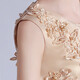 Dev Ake Kinderkleid Girl Prinzessin Rock Moderatorin High-End Piano Performance Evening Kleid Little Girl Hochzeit Sommer Big Boy BX683 Langarmiger Champagnerfarbe