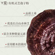 鹿典有机灵芝孢子粉10袋/盒甄选高品质孢子粉低温物理破壁 1盒 10g