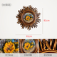 Meng Nian Decoration Europe Style Mur de style suspension Taihua Creative Retro Entrance Murdings Living Room TV Background Mur 9934 Sun Flower Wall Decoration - Rice - Grand Taille