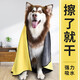 Qi Oh Pet Absorbent Towel for Dogs and Cats Bathing Quick-Drying Bath Towel Golden Retriever Teddy Border Collie Drying Artifact Supplies Medium Size (60*30cm Suitable for Young Cats and Dogs)