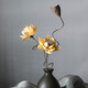 AIMAN dried lotus flower bouquet lotus lotus real flower Zen style air-dried Chinese flower arrangement living room decoration ornaments to attract wealth Combination 1 (without bottle)