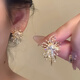 Tapaying Fashionable Zircon Fireworks Earrings Light Luxury High-end Autumn and Winter Earrings Korean Style Earrings Fashion Earrings New Style Fireworks Earrings Pair