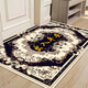 Center of mass primary color entrance door home living room foyer bedroom carpet bathroom kitchen absorbent non-slip mat G-Entry safe 80*100cm