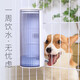 Fengshang pet water dispenser hanging dog ball water feeder dog drinker hanging cage jelly green 700ml Fengshang pet water dispenser hanging dog ball water feeder dog drinker hanging cage jelly green 700ml
