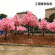 Flower e flow simulated cherry blossom fake peach tree large plant simulated cherry blossom tree simulated peach blossom tree wishing tree peach blossom living room decoration round 2.5 meters high 2 meters wide