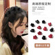 Zhuo Keke Mini Princess Hair Clip Broken Hair Side Bangs Clip Hair Clip Small Forehead Hair Clip Female Mini Clip Headwear Mixed Color Combination 12 Pack