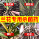 Hymexazole fungicide orchid soil disinfection succulent root rot black spot black spot orchid root rot special pesticide pesticide fungicide 30g