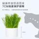 Huanpet.com Cat Grass Seeds Cat Mint Cat Snacks Depilation Hair Cream Cat Grass Hydroponic Seed Planting Kit Cat Supplies