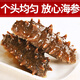皇家麒麟 即食海参 即食大连刺参单个装辽刺参海参干货水产礼盒净含量500g 7A鲜食海参 6-8只/斤 三斤装【家庭装】