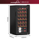 HOMESUN Red Wine Cabinet Constant Temperature Electronic Constant Temperature Wine Cabinet Mini Red Wine Storage Cabinet Small Wine Cabinet European Living Room Wine Cabinet 28 Pack (Upgraded Compressor Type) 28 Bottles