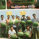 Extra large watermelon seeds, high yield, super sweet, early maturing, four seasons, giant lazy melon king, few seeds, giant dragon watermelon vegetable seeds, giant large fruit watermelon seeds (high sugar and super sweet), original factory packaging, 3 packs of exquisite products, about 150 seeds