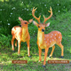 Yi Mingyuan courtyard outdoor garden forest animal landscape decoration resin fiberglass simulated sika deer sculpture ornaments combination one (two pieces)