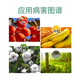Bonsec 40% ethephon fruit and vegetable corn lawn Podocarpus dwarf control vigorous grape coloring plant growth regulator