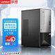 联想（Lenovo）ThinkServer T100C T100C V2工作站塔式服务器主机设计制图ERP财务办公电脑 T100C V2  I5-12400六核2.5G 32G内存丨1T/M.2高速固态丨双网口