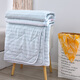FIRS Shanshan Home Textile Midsummer Dream Cool QFS-12034 Light Blue 180*210