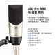 Sennheiser (SENNHEISER) MK4 large diaphragm professional recorder karaoke microphone condenser dubbing microphone anchor live singing MK4 MK4 microphone standard
