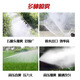 KAILEPU hand push rechargeable sprayer sprayer agricultural disinfection electric machine high pressure sprayer pesticide new fruit tree 12v45A160 liter rechargeable 30 meters + spray gun with battery