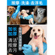 Big Cat Diary Cat Bath Gloves Dog Bath Artifact Washing Cats and Dogs Long Anti-scratch and Bite Cat Gloves Pet Massage Brush Thickened and Long Blue