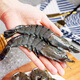 Mega large black tiger shrimp, ice-free net weight 2Jin Jin is equal to 0.5kg, 20-30 BBQ prawns, fresh shrimps
