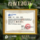 West Lake Shijing Mingqian Special Longjing 2025 Neue Teenbox 250g Grüne Tee High-End Festival Geschenk für Älteste
