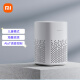 Xiaomi Xiaoai Speaker Play Xiaoai Classmates AIoT Voice Control Bluetooth Mesh Gateway Enlightenment Story Early Education Machine Smart Speaker Audio Xiaoai Audio