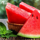 Shouhe crunchy type 8424 watermelon seeds, early good quality, early maturity, thin skin, summer and autumn seeds, watermelon seeds, 40 pieces of crunchy 8424 watermelon seeds