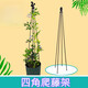 Clematis cuatro torre de esquina Torre de flores Tipo soporte MARCO DE LA Balcón al aire libre Balcón de jardinería Moldista de jazmín soporte de flores LZB de solo 75 cm de altura