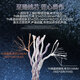 雅高聆（ACROLINK） 榭兰图4.4平衡线N5005索尼n3ap舒尔846mmcx耳机升级线材 拜亚动力T5P/天龙D9200/7200/5200 2.5平衡直头