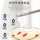 Fomec's Malaysia Instant Bird's Nest Tremella Soup Gift Boîte enceinte Nutritional Tonics Donnez aux parents et aux anciens 70 ml * 6 bouteilles