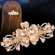 Clip à cheveux Dijing Coiffure pour femmes Clip de cheveux haut de gamme Clip de tête de la tête de la tête 2025 Nouveaux accessoires de cheveux Cadeau d'anniversaire pour la femme et la mère Elegant Bow Hair Clip [Boîte-cadeau] TL117