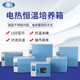 Instruments nord et sud Shanghai Yichang Chauffage électrique Incubateur constant DHP-90129032 Laboratoire Incubateur microbien DHP-9272 (270L)