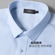 Shanshan (FIRS) 100-count pure cotton DP no-iron long-sleeved shirt men's four-season business casual anti-wrinkle formal men's shirt