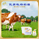 Yili Cheese Yellow Peach Carman Orange Flavor 800g Home Bucket Low-Temperature Old Yogurt Flavor Fermented Dairy Milk