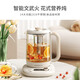 Small quality 0 glue health pot 316 stainless steel maternal and child grade material tea kettle household glass kettle constant temperature office scented tea stewing kettle with filter insulation 1.8 liters YSH03
