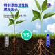 Tang Benchen Green Rooting Liquid Hydroponic Plant Special Nutrient Solution Promotes Growth, Rooting and Seedling Potassium Fulvic Acid Fertilizer 2 Bottles of Rooting Liquid + 1 Bottle of Vitality