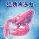 北极川钛灰商用大容量卧式冰柜低温冷冻柜超市食品冷藏柜节能电子温控商用冷柜雪糕冰箱展示柜 智能单温BJC-698钛灰-长1.45米约400L