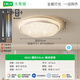 Grand View Garden (DGY) Luz de techo de la sala de estar Nordic Starlight Modern Simple Light Atmosférica Minimalista Ambient Ambient Eye Protection Lámpara 687o Círculo de 50 cm Vo con voz-36W-Full Spectrum