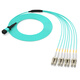 诺可信（Nokoxin）MPO-MPO光纤跳线母头多模8芯12芯 OM3/OM4集束B极性兼容MTP 40G/100G跳线 多模MPO母头转8芯LC OM3 10米