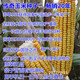 Suiyiman Zhengdan 958 corn seed high yield short stem lodging resistant corn seed big stick Sichuan Shandong good corn Zhengdan 958 four Jin Jin is equal to 0.5 kg / one bag