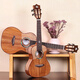 Ajima ajima voll einzelner Tiger Muster Acacia Holz Vollende einzelne studentische Kinder Kinder Kleine Gitarre A6 Anfänger Ukulele Helles Modell 26-Zoll Original-Soundmodell