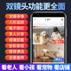 Batianan 4G Indoor Home Camera Mobile Phone Fernüberwachung Wireless WLAN Ultrahohe Definition Monitor 360 Grad ohne tote Winkel mit Vollfarb Nachtsicht Panoramabläuf