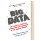 Big Data 英文原版 大数据：工作生活基本指南 英文版