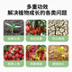 Stanley (STANLEY) nitrogen, phosphorus and potassium compound fertilizer, vegetable household vegetable and flower fertilizer, fruit tree potting general slow-release fertilizer, good fertilizer, general type 1Jin Jin equals 0.5 kg nitrogen, phosphorus and potassium compound fertilizer